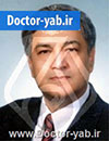 دکتر سید حسن شهیدی