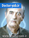 دکتر محمدحسین مهرزادی