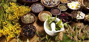 درمان تنبلی تخمدان با طب سنتی درمان تنبلی تخمدان با طب سنتی