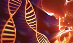 آزمایش NIPT یا NIFTY، تست غیرتهاجمی تشخیص سندرم داون پیش از تولد(Cell Free DNA)
