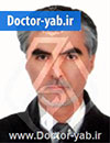 دکتر شهاب الدین میرزایی
