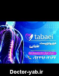 سید محمدجواد طبایی