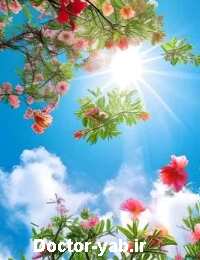 دکتر محمدعلی احمدیان مقدم