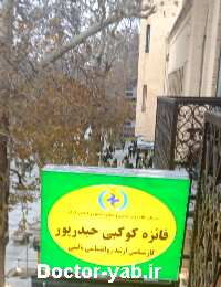 فائزه کوکبی