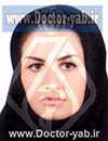 الهه احمدی دول امیری