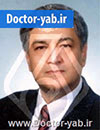 دکتر سید حسن شهیدی