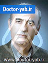 دکتر محمدحسین مهرزادی دکتر محمدحسین مهرزادی