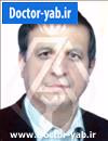 دکتر سراج الدین وحیدی مهرجردی