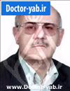 دکتر علی اصغر ذوالفقاری خیاوی
