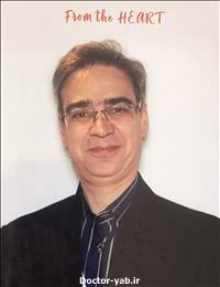 دکتر سید احمد میردامادی