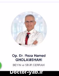 دکتر رضا حامد غلامشاهی