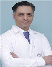 دکتر مجتبی عاملی