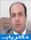 امیر رزمگه