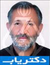 دکتر ابوالفضل محمدی