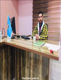 هادی خلجی