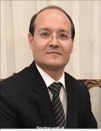 دکتر محمود شهیدی