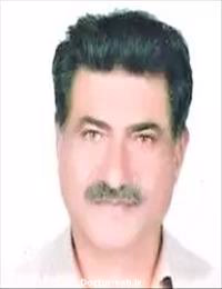 حسن پرویزی