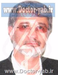 دکتر سید محمدحسن مرتضوی شاهرودی