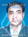 دکتر محمدجواد میردامادی