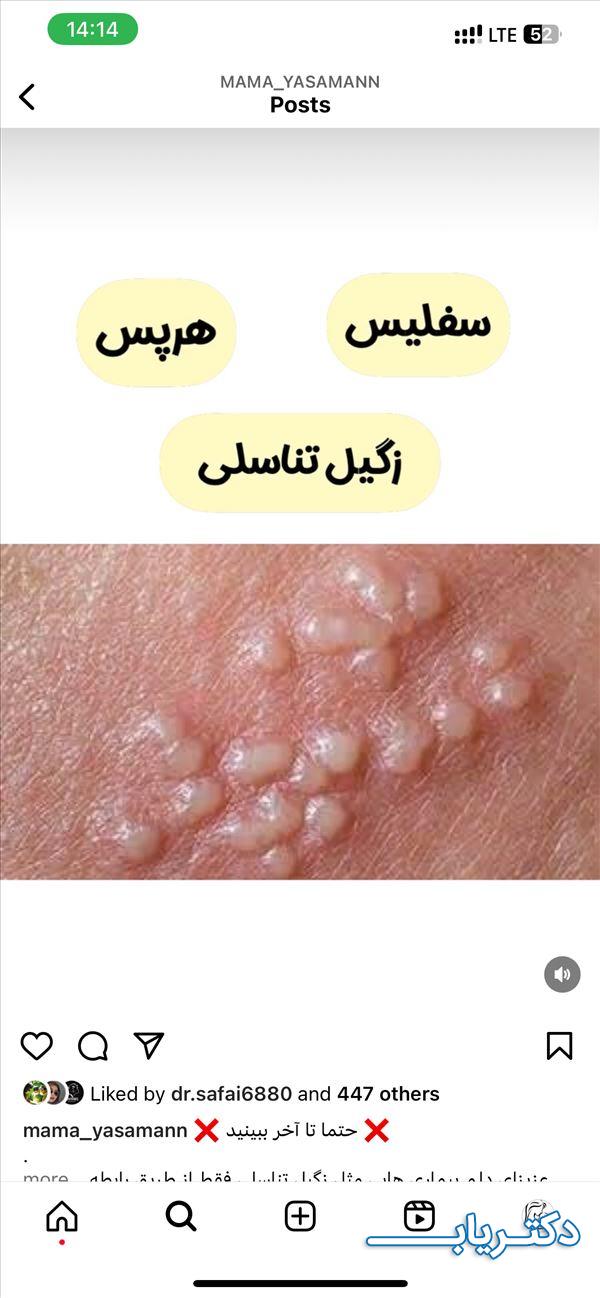 نمونه کار شیما جلالی