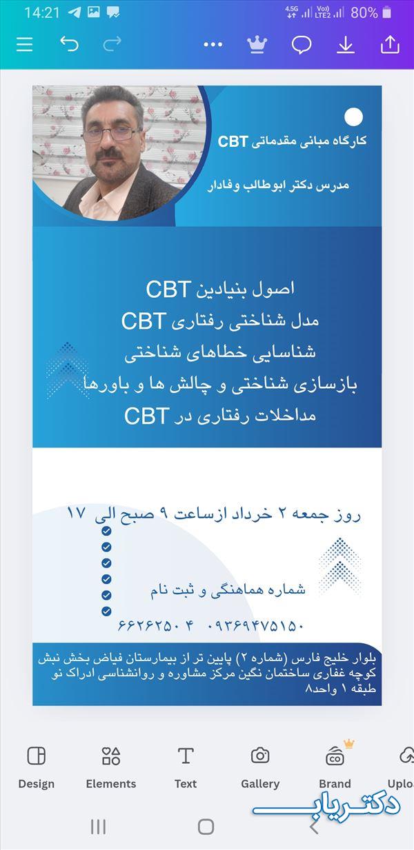 نمونه کار دکتر ابوطالب وفادار