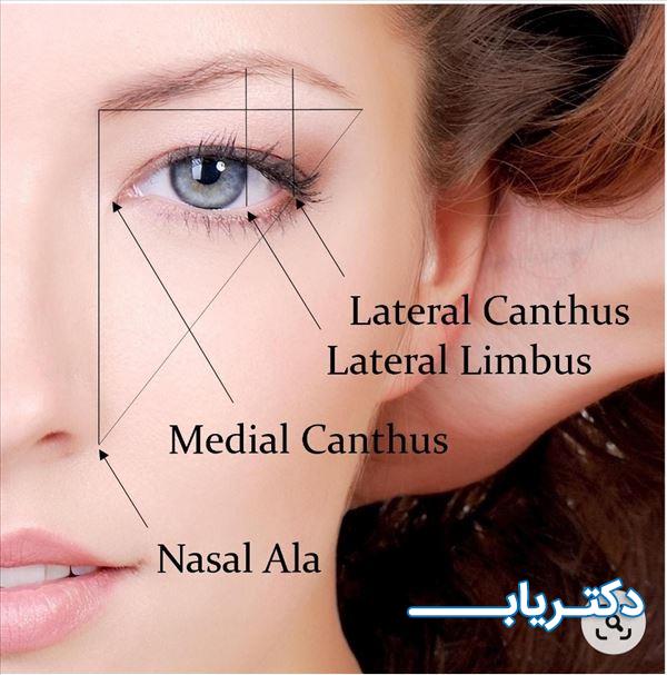 نمونه کار دکتر کیوان جاویدنیا 4