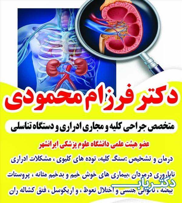 نمونه کار دکتر فرزام محمودی