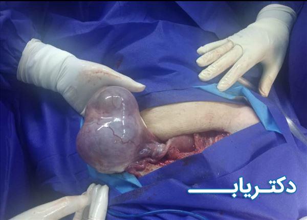 نمونه کار دکتر مریم سلیمان نژاد 3