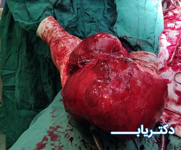 نمونه کار دکتر مریم ناظمی 5