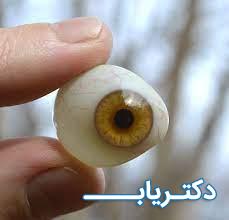 نمونه کار حسن بدری 2