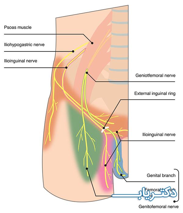 نمونه کار دکتر سیروس امیرعلوی